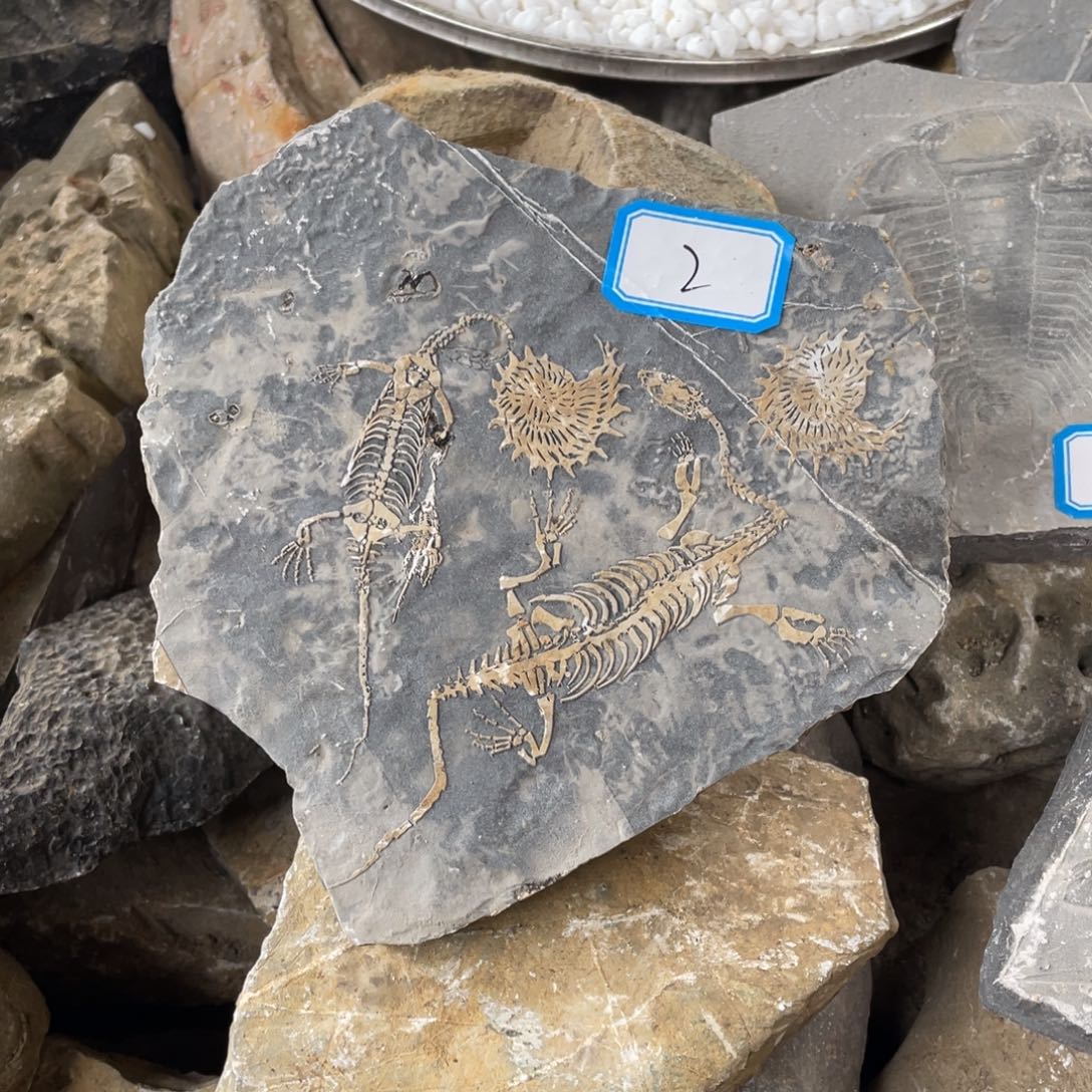 石材22222222222222222222222