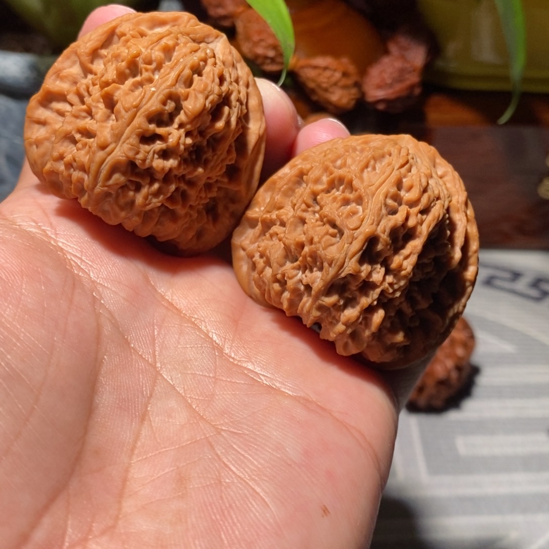 把件文玩核桃008老树三角拉丝纹南将石45尺全品头货