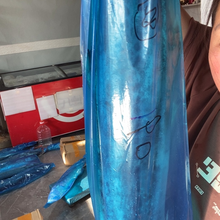 中国大陆渤海湾野生燕鲅鱼28号