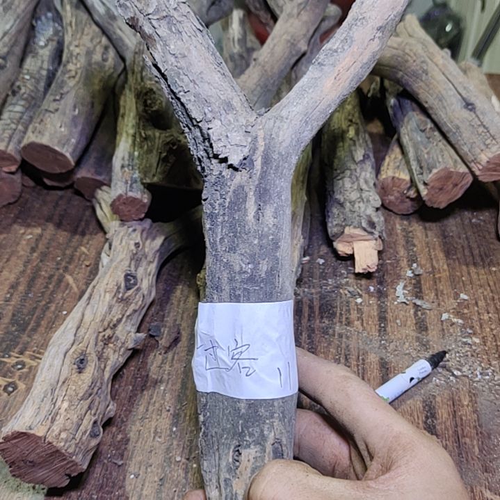 过***客火琉璃原杈不保沉水慎拍！