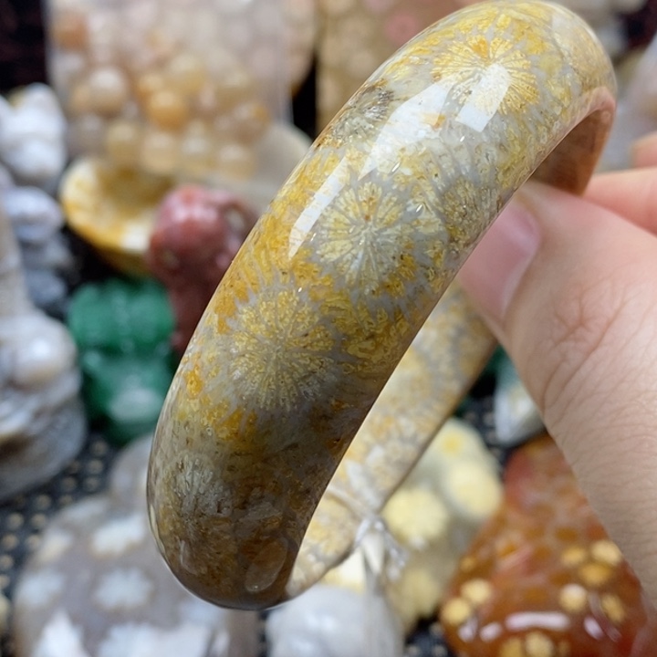 硅化珊瑚（珊瑚玉）颈饰未镶嵌55