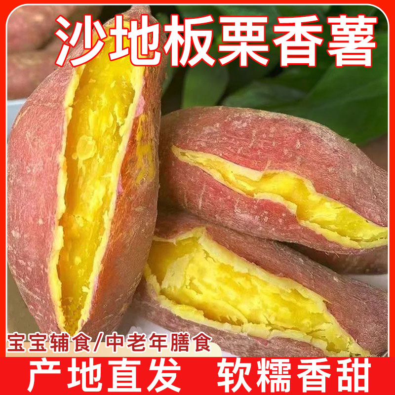 【买3斤送2斤到手5斤】沙地板栗红薯粉面软糯地瓜新鲜现挖沙地红薯