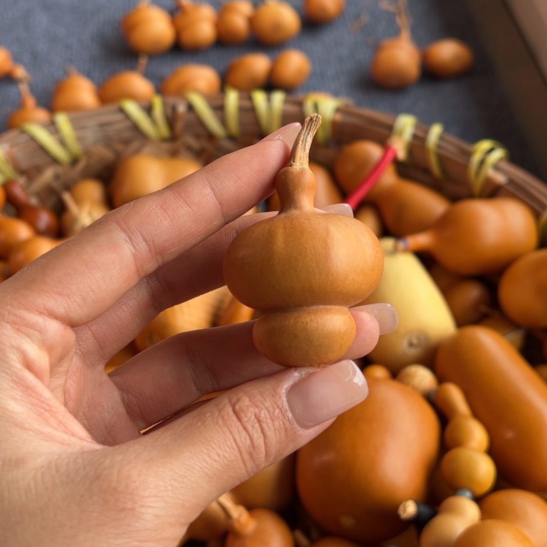 *****葫芦葫芦葫芦葫芦