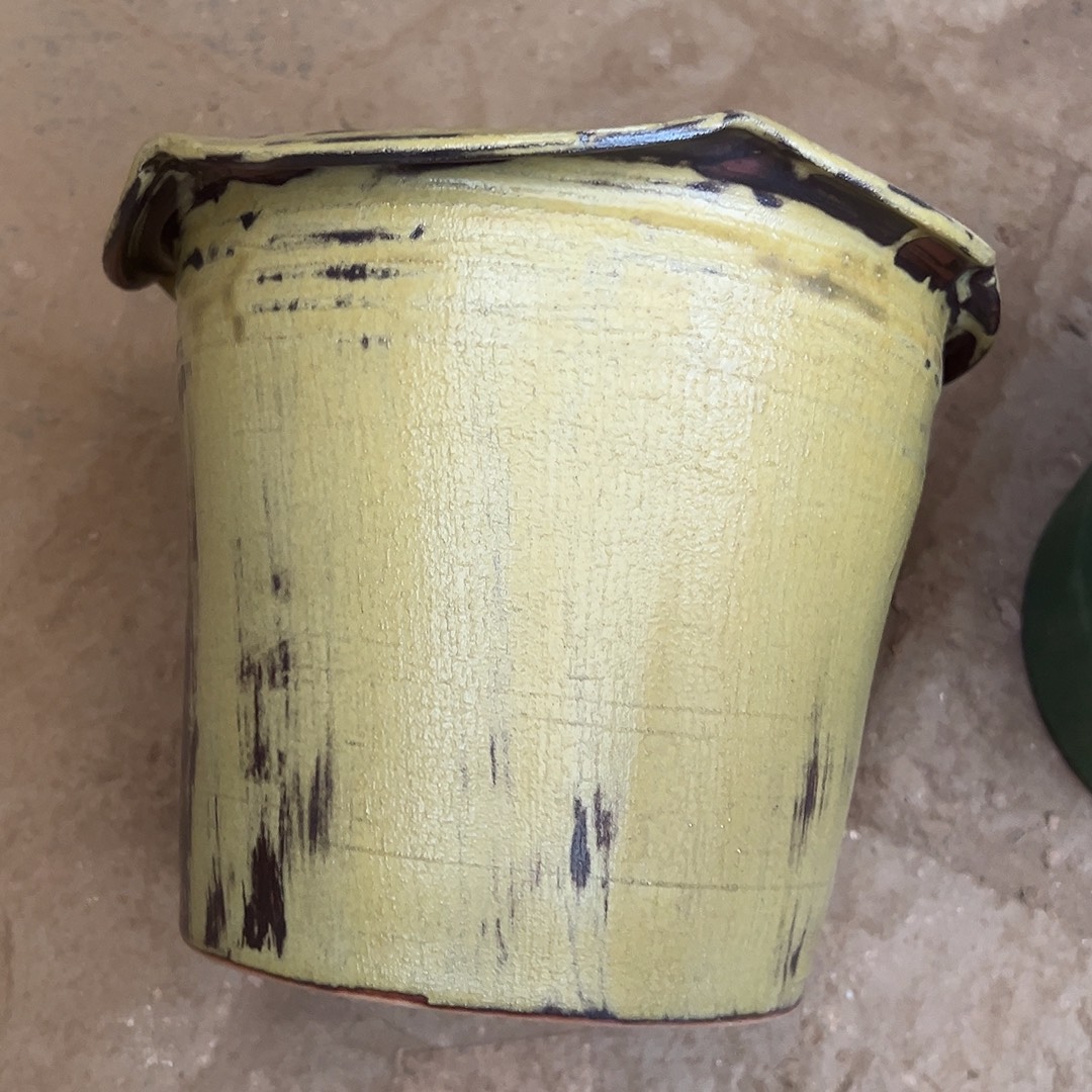 小***呀景德镇陶瓷卷边黄色