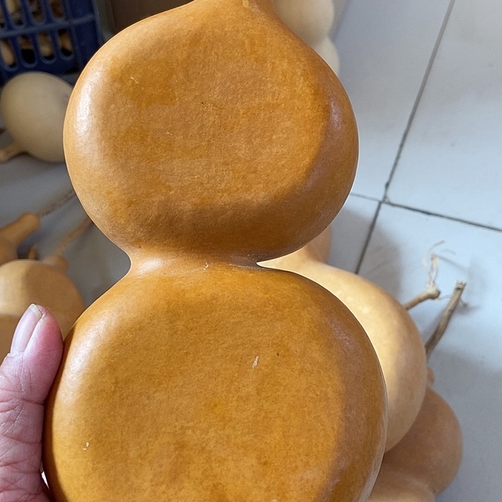 b x n x b c w j j d n ce s