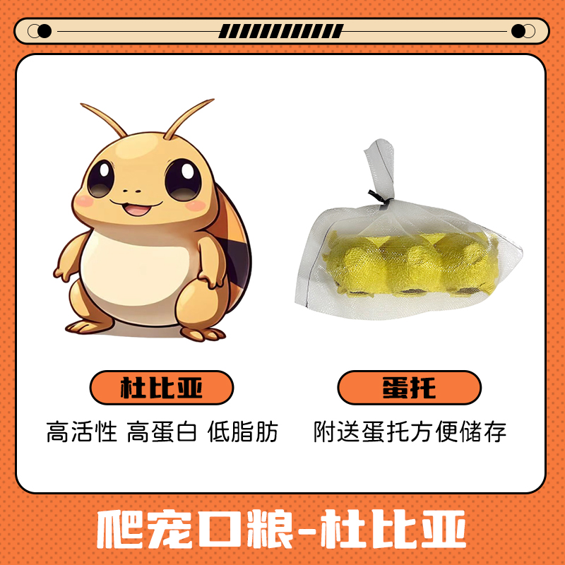 杜比亚爬宠营养高蛋白食物守宫鬃狮蜥蜴鱼鸟龟蜘蛛角蛙宠物饲料