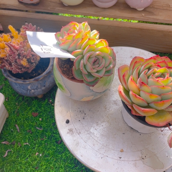 阿***丁谢谢你的支持000000012