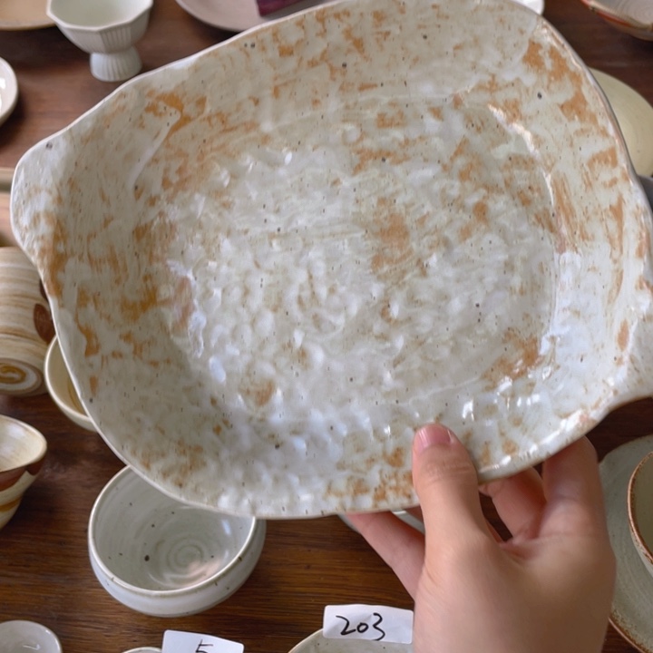 景德镇市和上海浦东新技术