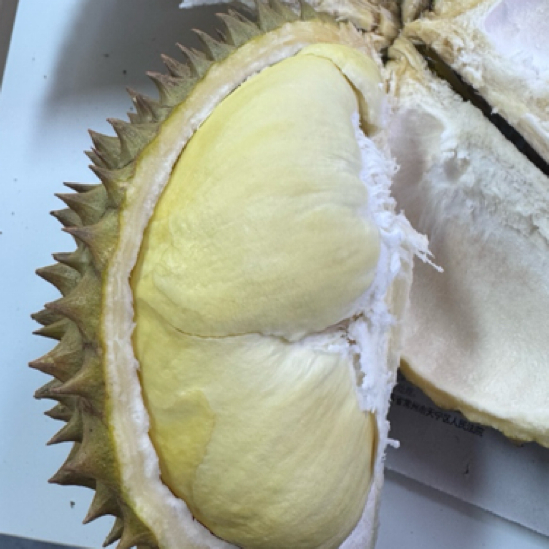 金枕榴莲新鲜榴莲包4房榴莲2.5斤及以上核小同城一小时送到金枕越南社会主义共和国