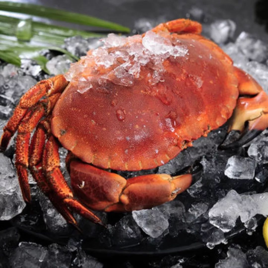 面包蟹刚刚断氧，到家新鲜，猫大厨小时达