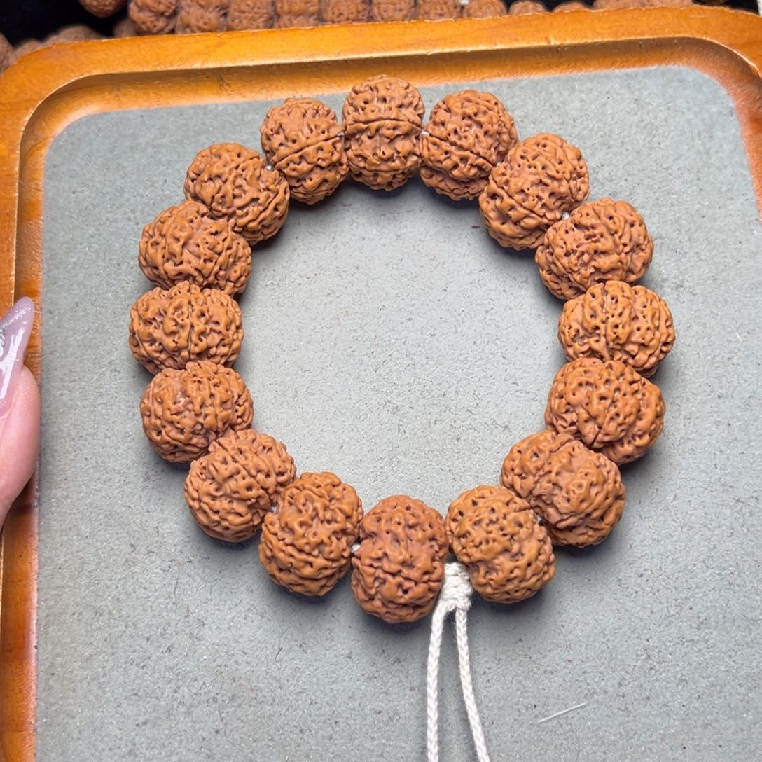 菩提21号金刚菩提六瓣25+