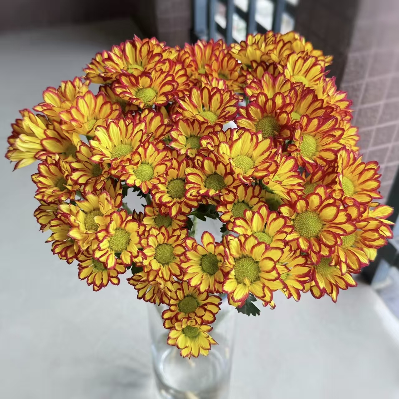 罗马假日小菊鲜花水养插花（5度以下拍保温棉，不拍冻坏不售后）