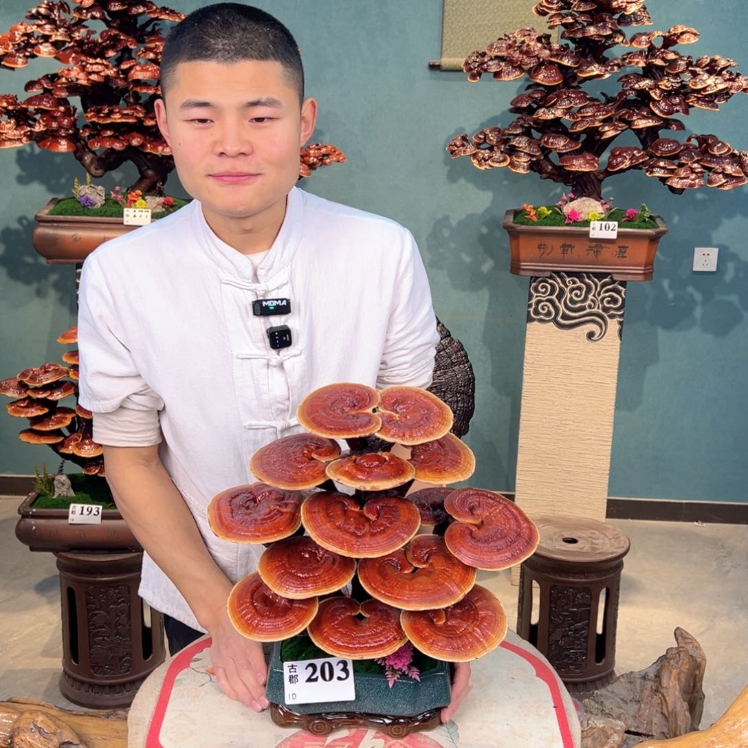 无花朵88888888888