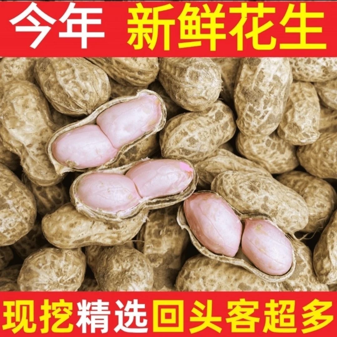 2025农家自种新鲜现挖带壳带泥湿花生颗粒饱满可水煮