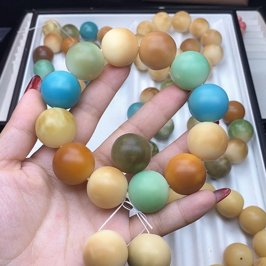 菩提根/象牙果吊坠肉*煲肉肉 不退换