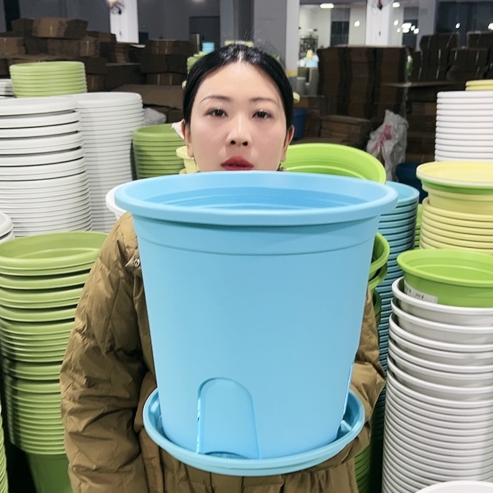 正品圆控口30高27蓝色4只带托