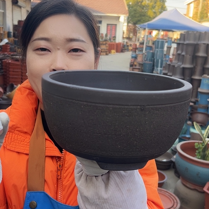 拉毛绿萝小花盆花盆