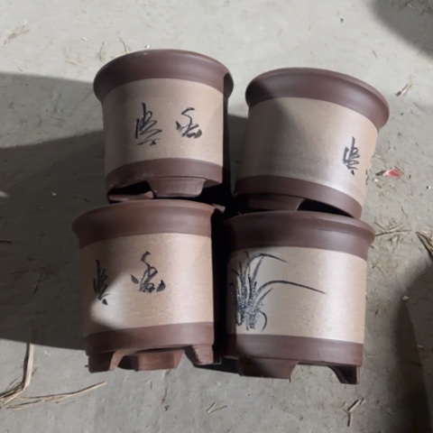 紫砂花盆50-4。50-4。。。