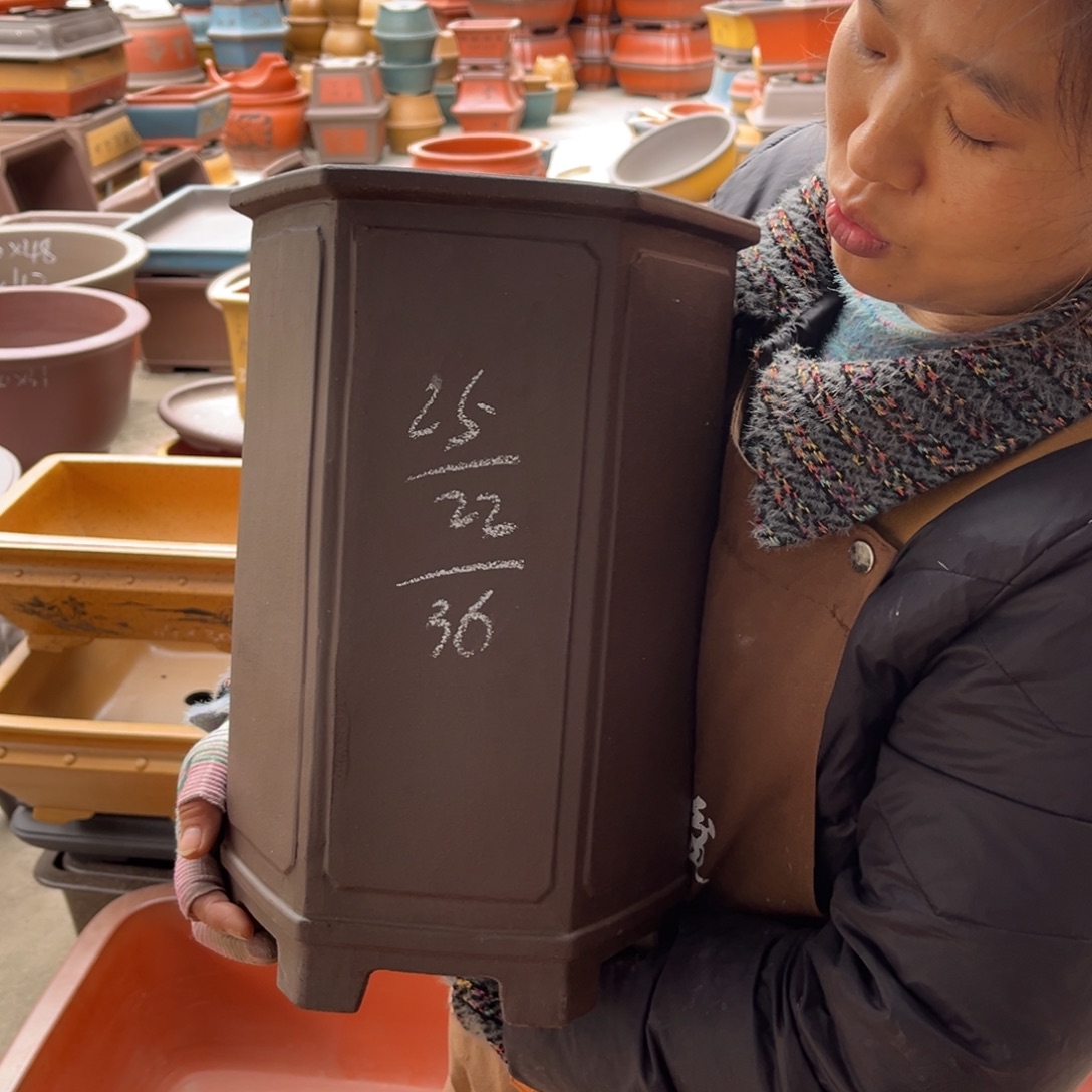 花盆紫砂盆景艺术