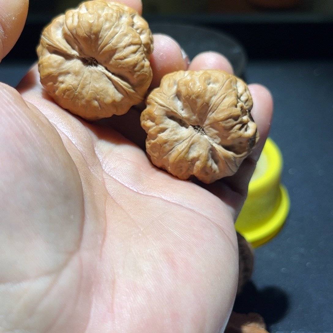 文玩核桃把件不*邢台古蟾文玩核桃