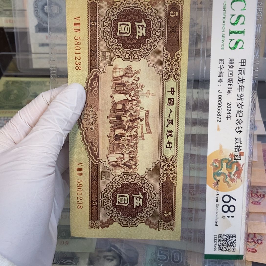 黄五238……………………………………