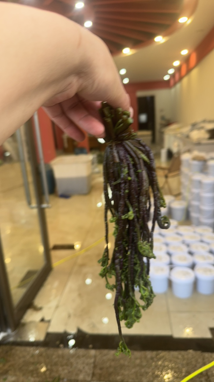 桦木沟头茬紫根蕨菜（包邮）