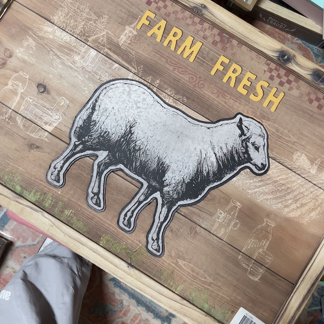 小***婴安提克斯拍了说已拍