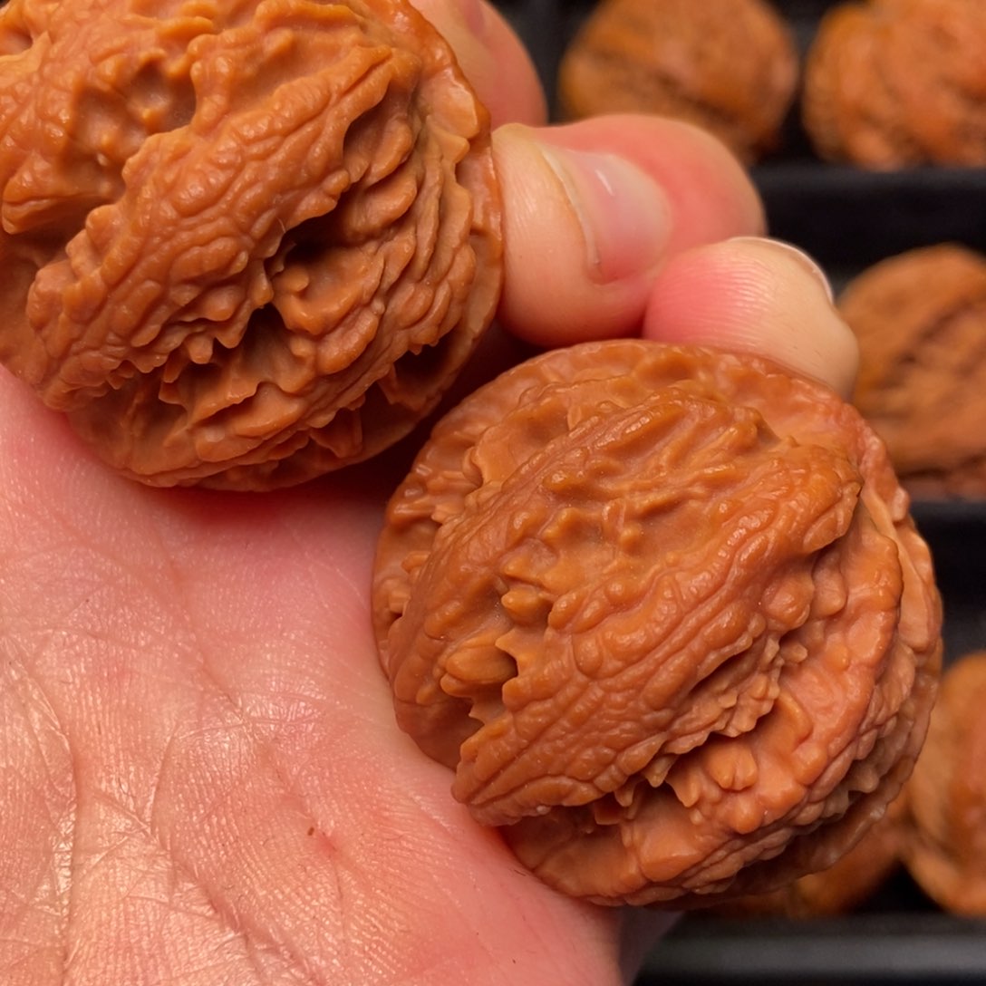 文玩核桃把件秦岭野生核桃