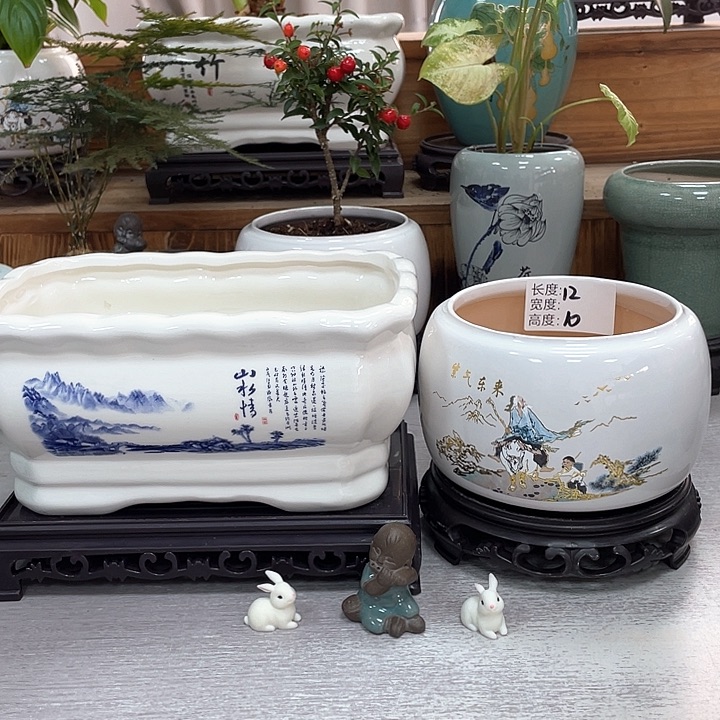陶瓷花盆紫砂花盆福利抢购