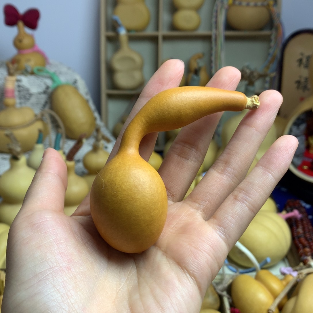 葫芦*️*蚂蚁专拍