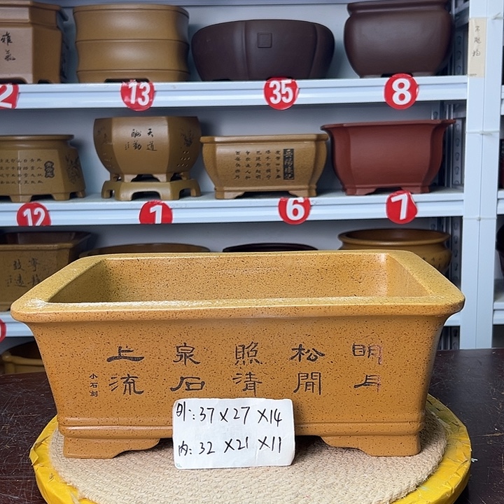 花盆紫砂你在一起