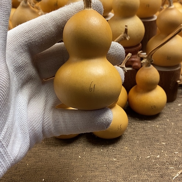 文玩葫芦 完美主义者 慎拍61