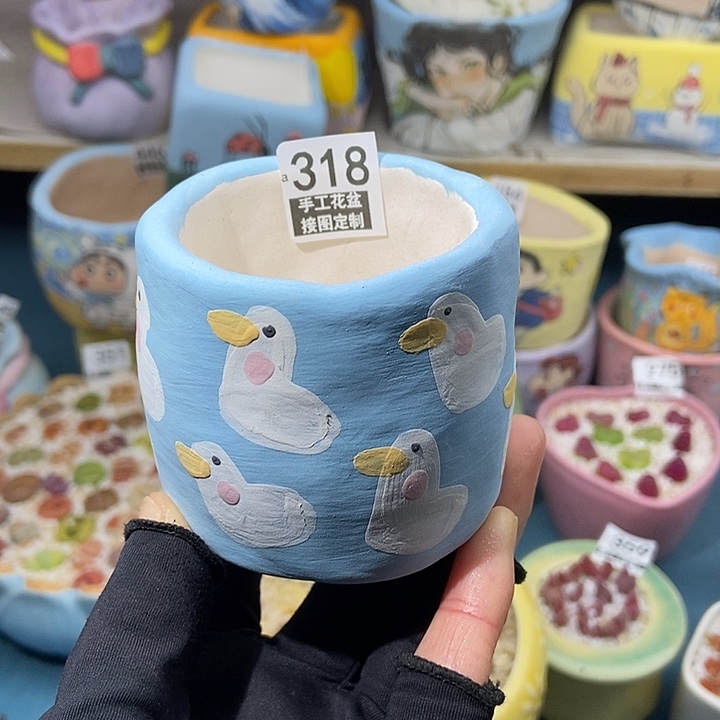 大舅生石花肉锥多肉318