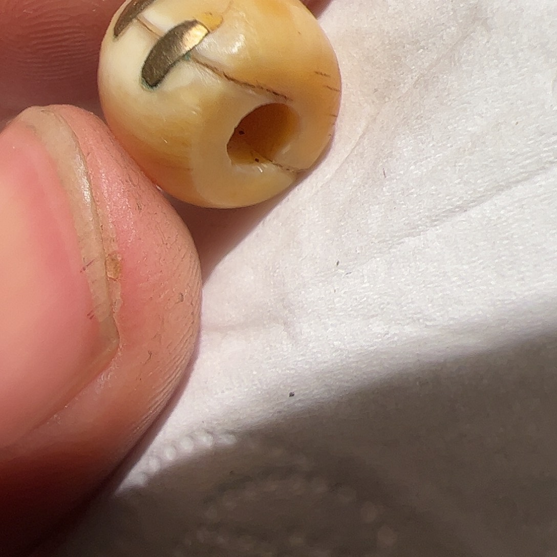 香榧木在家了一个