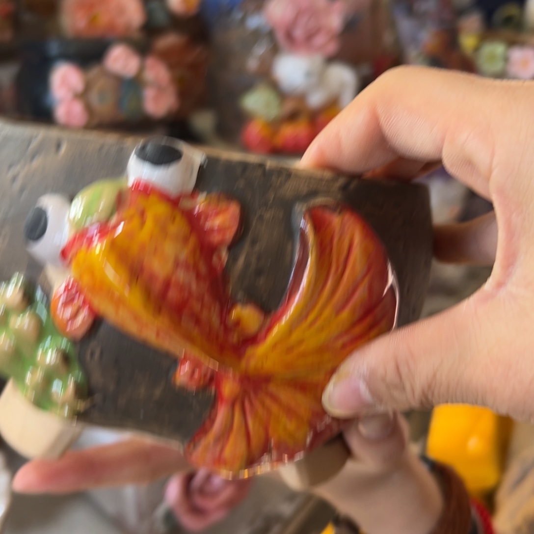 花盆，拍满20发货，退款拉黑