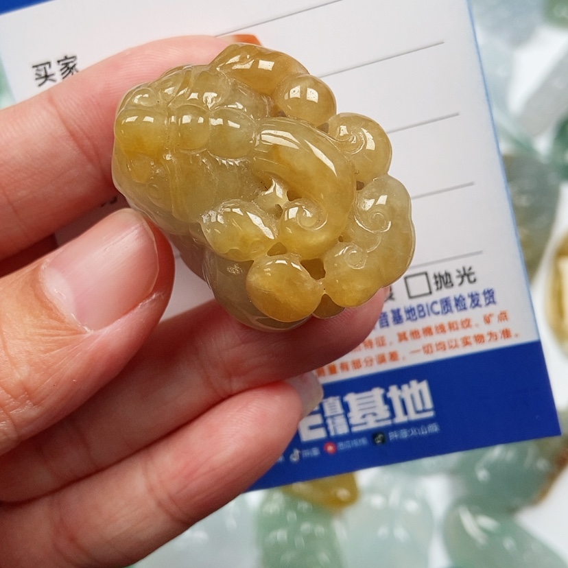 【闪购商品】翡翠颈饰未镶嵌貔貅