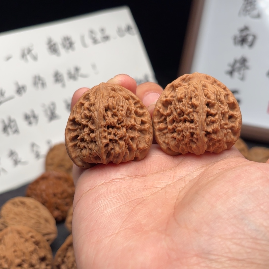 一***富核桃涿鹿南疆一代