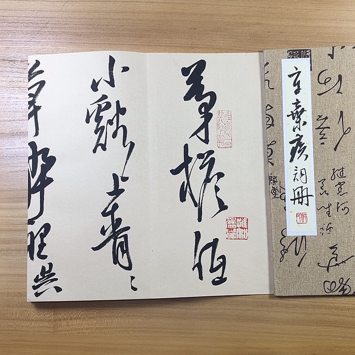 书法中书协会员作品