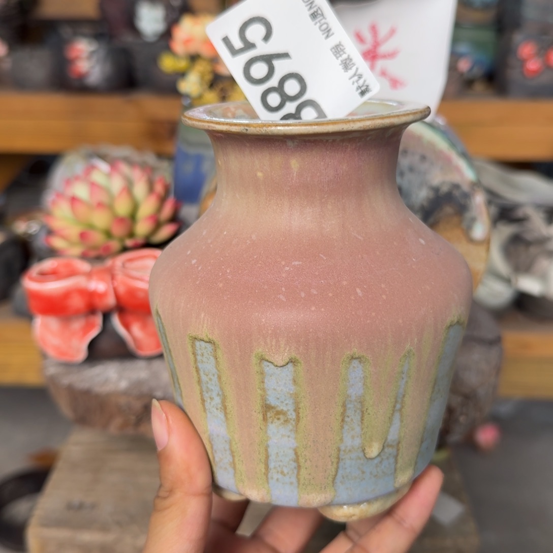 重庆小燕子欢迎大家895