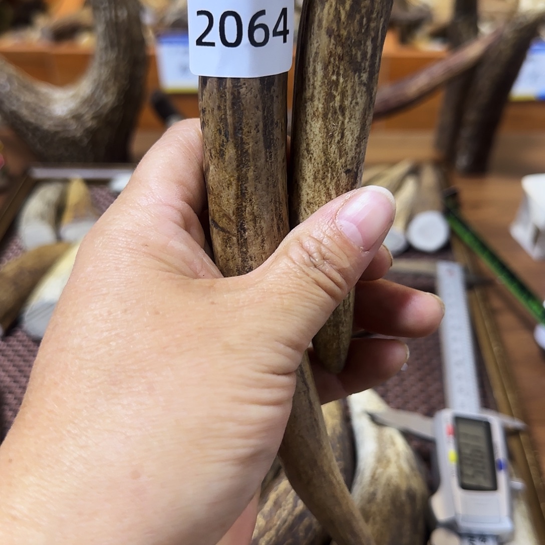 容***厂手串/手链鹿骨角尖2064