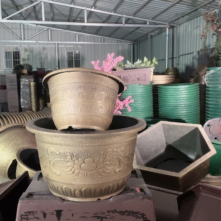 梅花照眼 依然旧风味
