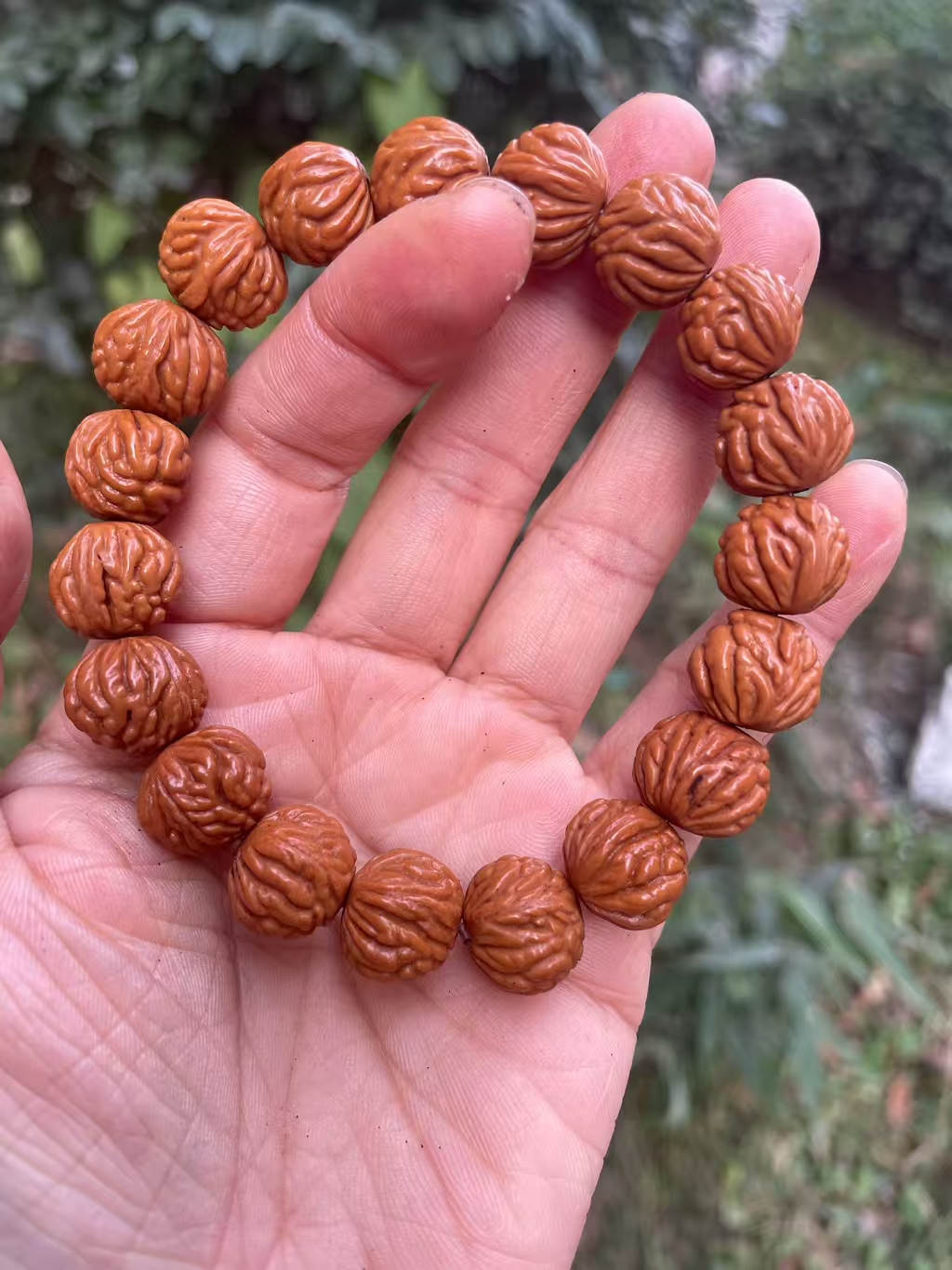 秦岭野生东南枝桃枭小籽龙纹桃核手串高油高密