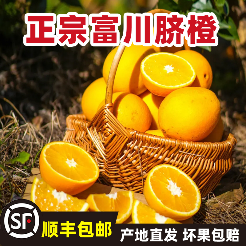 正宗【富川脐橙】果园直发 现摘  顺丰包邮