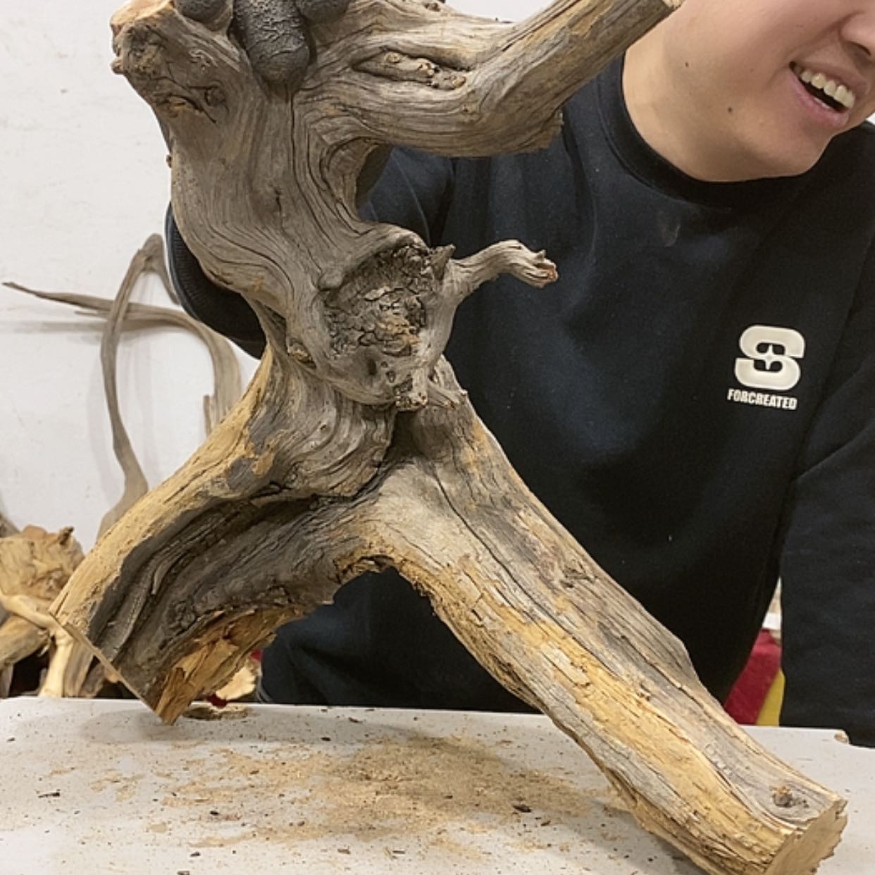 【闪购商品】柏木星*?我们都是好孩子