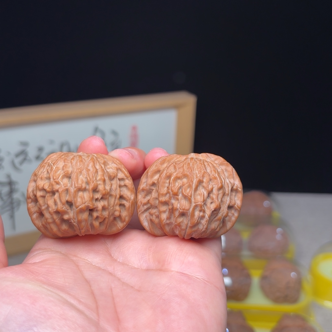 ?****鑫44 全品无修红皮磨盘狮子头