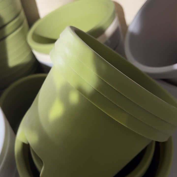 球根盆2号果绿无托5个