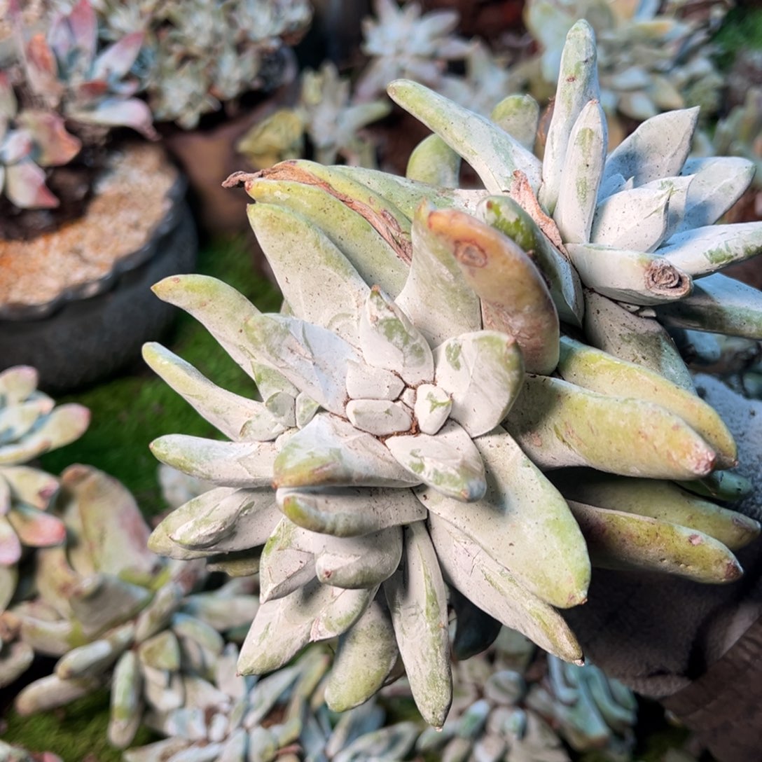 8378哈哈哈哈哈哈哈哈