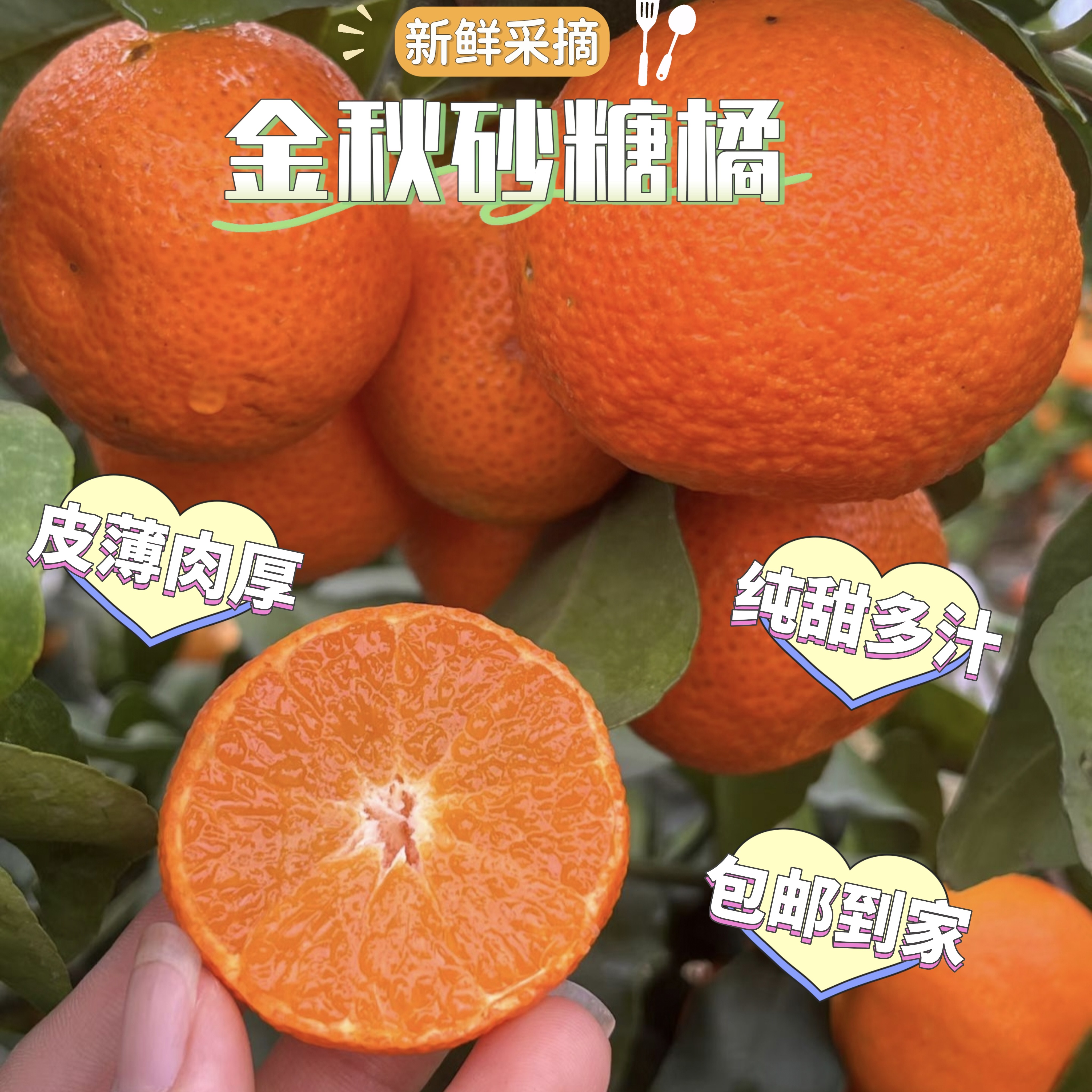 正宗云南宾川金秋砂糖橘现摘应季新鲜水果