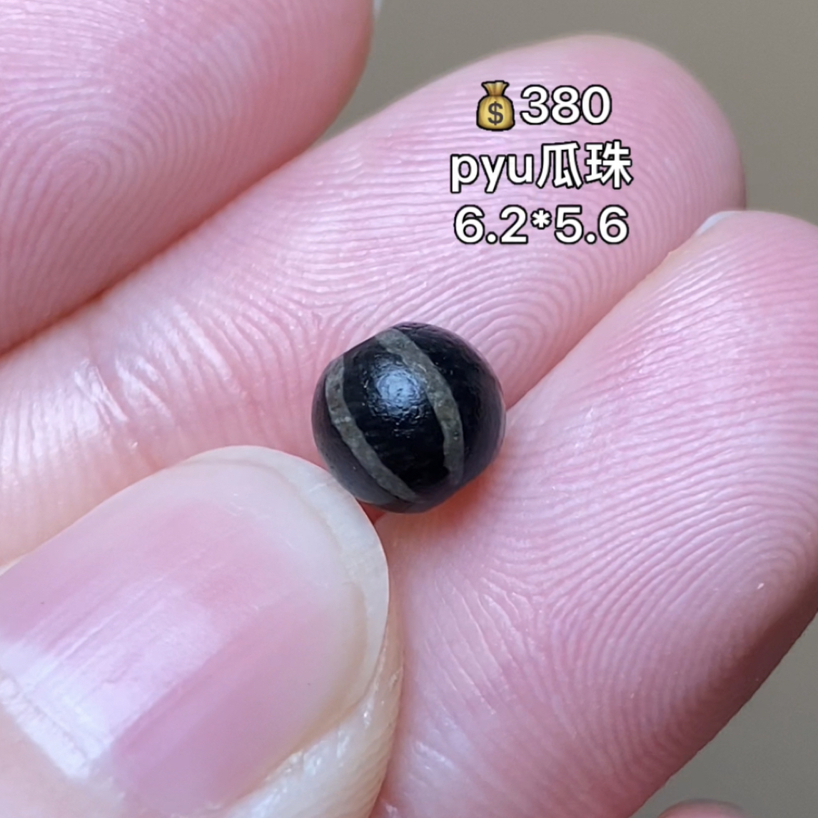 pyu瓜珠 千年古珠 有细节视频找客服