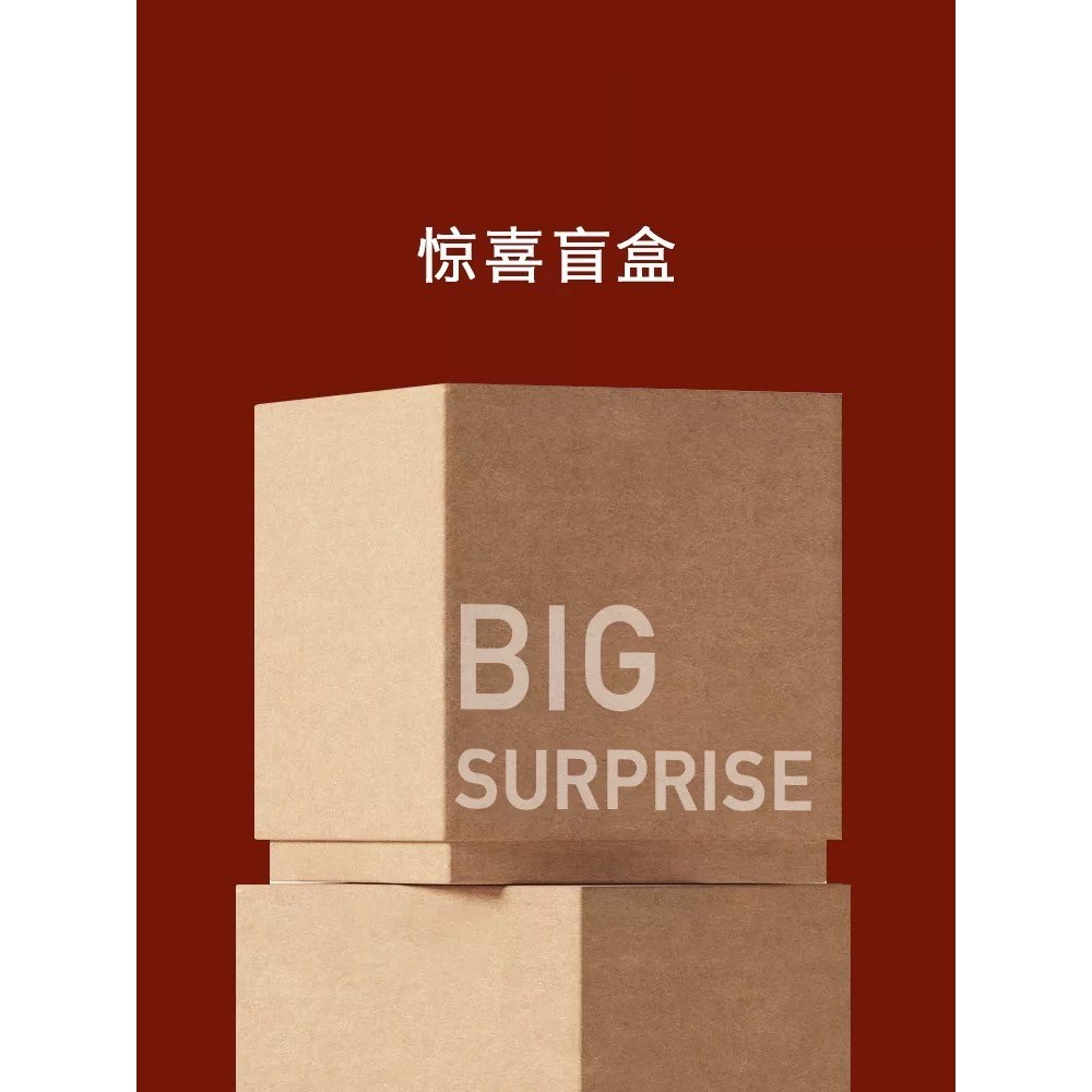 儿童新国标90白鸭绒羽绒服D-6160杜邦三防连帽羽绒外套加厚上衣